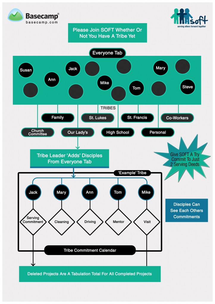 SOFT Process Diagram_3122013